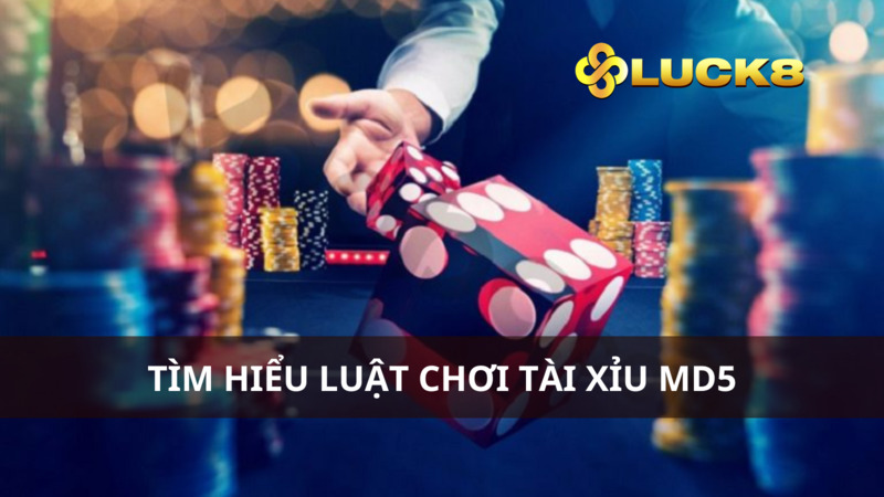 Hướng dẫn chơi tài xỉu MD5 theo phương pháp gấp thếp