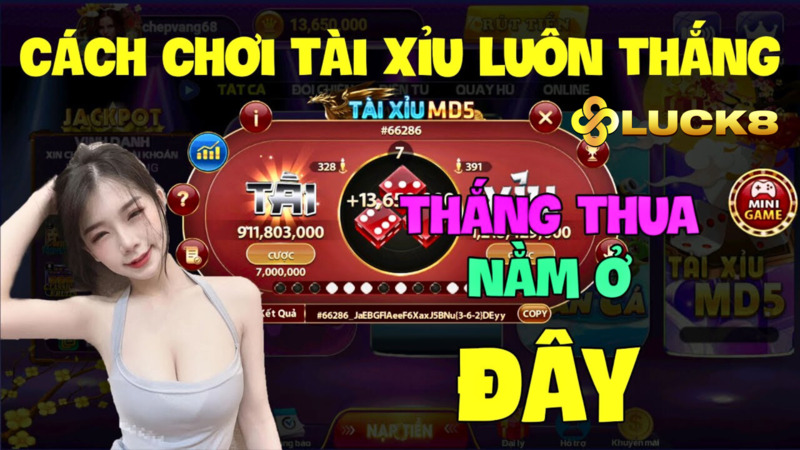 hướng dẫn chơi tài xỉu MD5