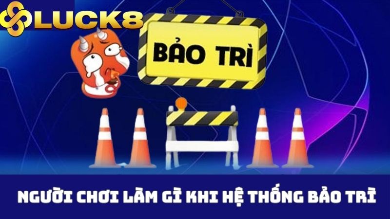 Người chơi Luck8 cần làm gì khi đơn vị bảo trì?