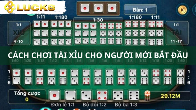 Cách chơi tài xỉu cho người mới bắt đầu