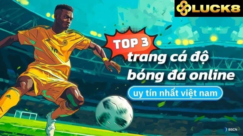 Top các trang web cá độ bóng đá uy tín nhất hiện nay